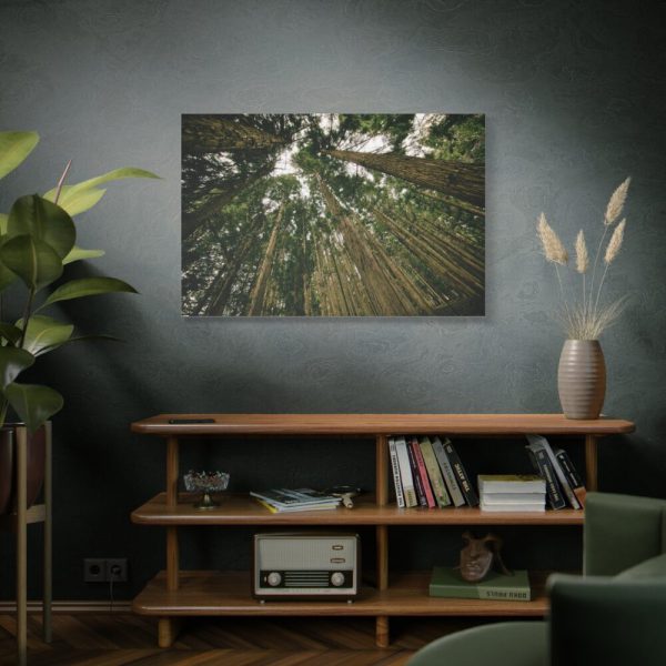 91638-319.jpg Perspective Tall High Up Trees Standard Canvas