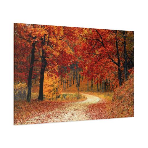 Fall Autumn Red Season Woods Standard Canvas