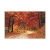 91638-321.jpg Fall Autumn Red Season Woods Standard Canvas