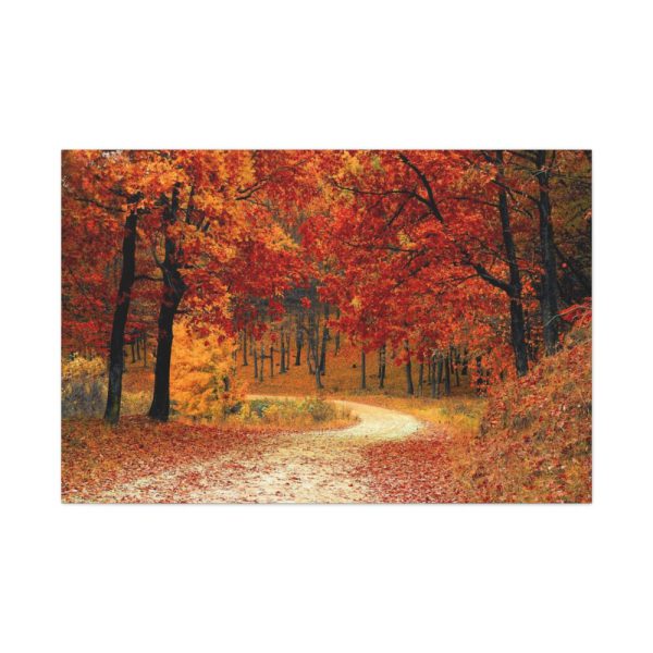 91638-321.jpg Fall Autumn Red Season Woods Standard Canvas