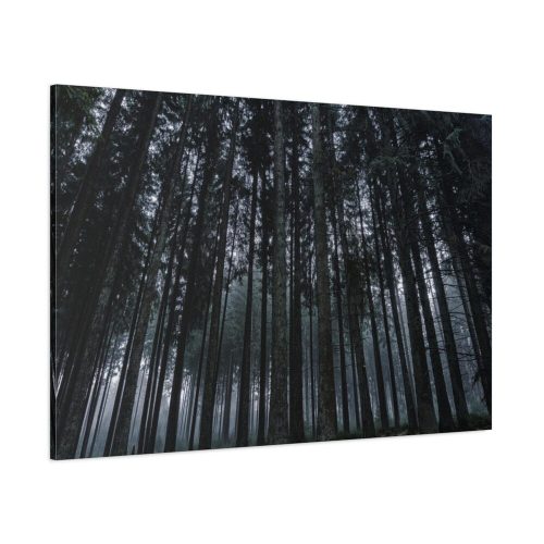 Cold Forests Trees Standard Canvas