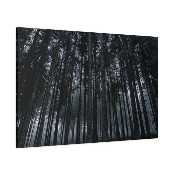 91638-325.jpg Cold Forests Trees Standard Canvas