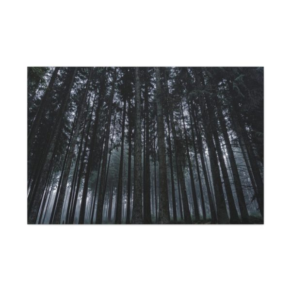 91638-326.jpg Cold Forests Trees Standard Canvas