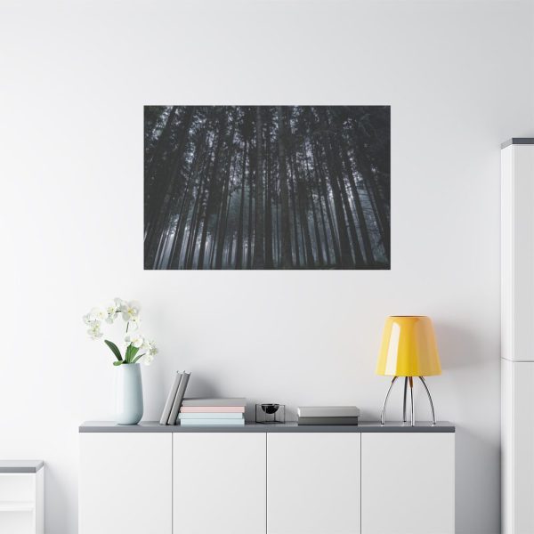 91638-327.jpg Cold Forests Trees Standard Canvas