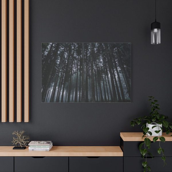 91638-328.jpg Cold Forests Trees Standard Canvas