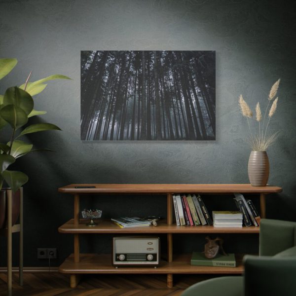 91638-329.jpg Cold Forests Trees Standard Canvas