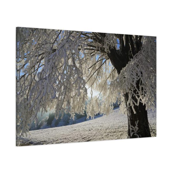 91638-330.jpg Tree Hoarfrost Standard Canvas