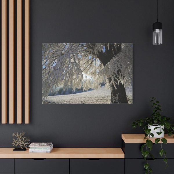 91638-333.jpg Tree Hoarfrost Standard Canvas