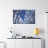 91638-337.jpg Snow Ponderosa Pines Trees Standard Canvas