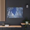 91638-338.jpg Snow Ponderosa Pines Trees Standard Canvas