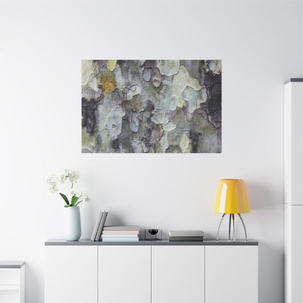 91638-377.jpg Tree Bark Texture Standard Canvas