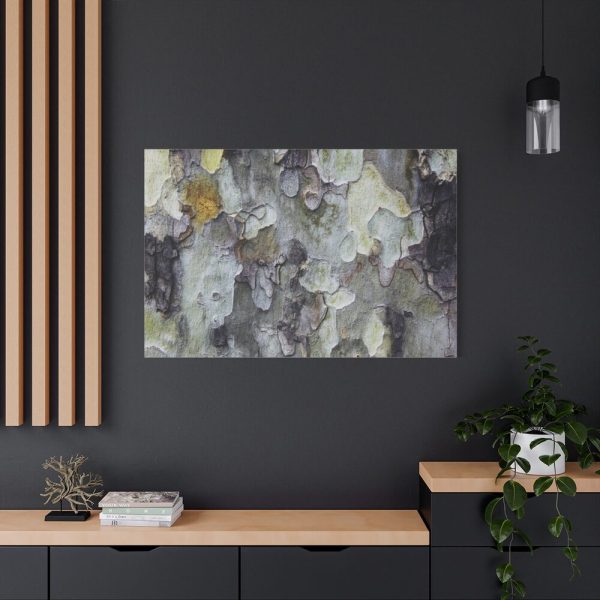 91638-378.jpg Tree Bark Texture Standard Canvas