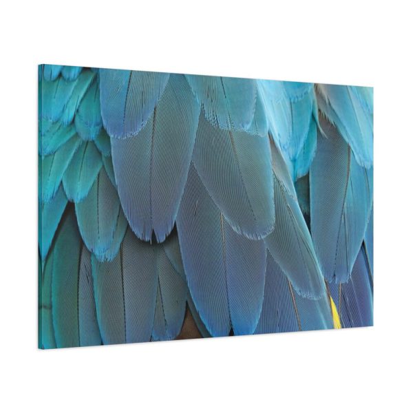 91638-385.jpg Parrot Feathers Texture Standard Canvas