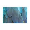 91638-386.jpg Parrot Feathers Texture Standard Canvas