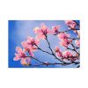 91638-436.jpg Spring Tree Standard Canvas