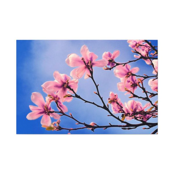 91638-436.jpg Spring Tree Standard Canvas