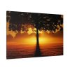 91638-440.jpg Sunrise Tree Silhouette Nature Standard Canvas