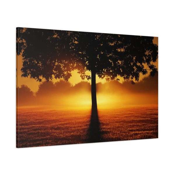 91638-440.jpg Sunrise Tree Silhouette Nature Standard Canvas