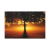 91638-441.jpg Sunrise Tree Silhouette Nature Standard Canvas