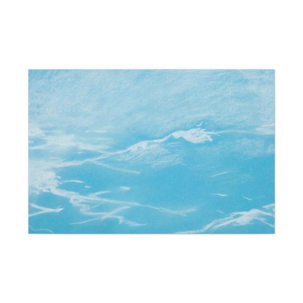 91638-446.jpg Seagull and Waves by Winslow Homer Standard Canvas