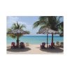 Sunny Beach With Palm Tree Standard Canvas