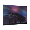 91638-526.jpg Tree Forest Starry Aurora Standard Canvas