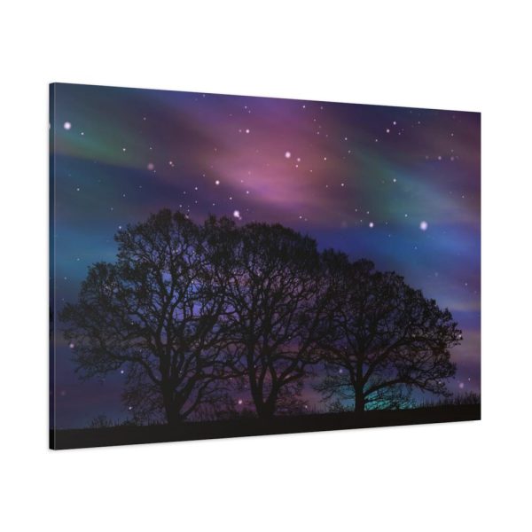 91638-526.jpg Tree Forest Starry Aurora Standard Canvas