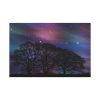 91638-527.jpg Tree Forest Starry Aurora Standard Canvas