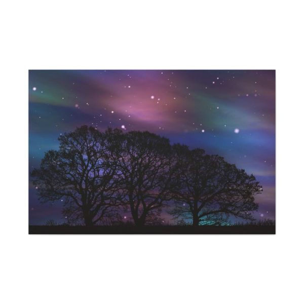 91638-527.jpg Tree Forest Starry Aurora Standard Canvas