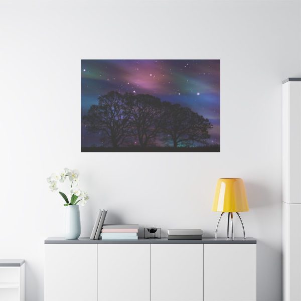 91638-528.jpg Tree Forest Starry Aurora Standard Canvas