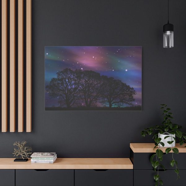 91638-529.jpg Tree Forest Starry Aurora Standard Canvas