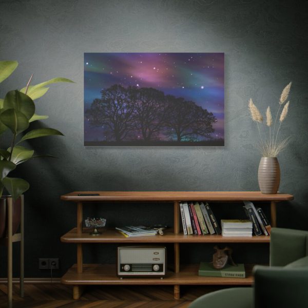 91638-530.jpg Tree Forest Starry Aurora Standard Canvas