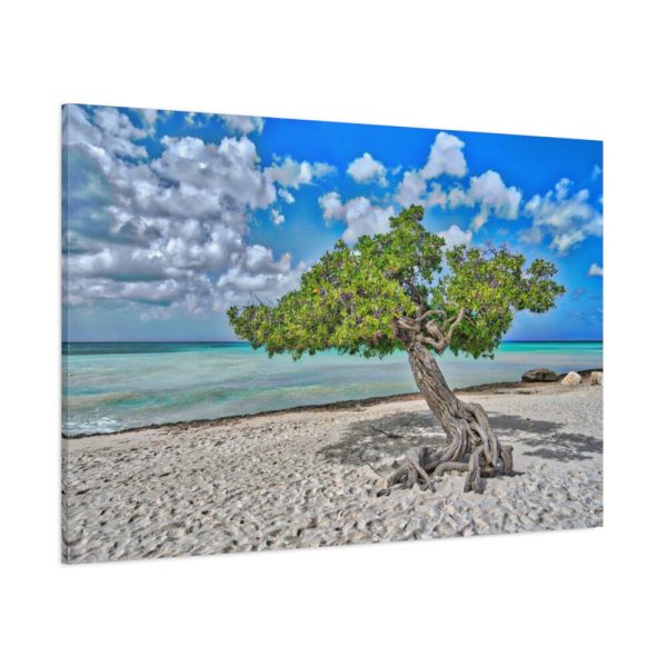 Water Texture of Beach Scenery Standard Canvas