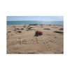 Aloha Hawaii Ocean Standard Canvas