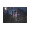 91638-56.jpg Mystical Castle in Dark Forest Standard Canvas