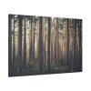 91638-616.jpg Thicket Pine Trees Standard Canvas
