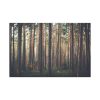 91638-617.jpg Thicket Pine Trees Standard Canvas
