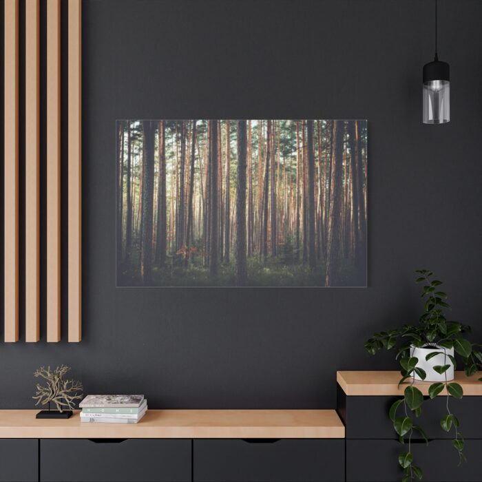 Thicket Pine Trees Standard Canvas - Image 4