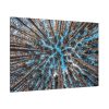 91638-626.jpg Trees Upward Standard Canvas