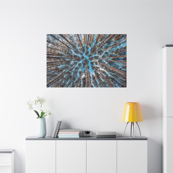 91638-628.jpg Trees Upward Standard Canvas