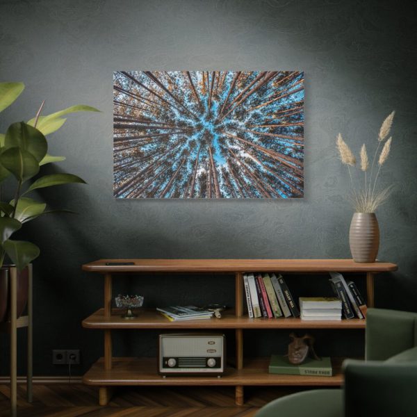 91638-630.jpg Trees Upward Standard Canvas