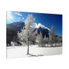 91638-666.jpg Blue Sky Cold Daylight Fosty Trees Standard Canvas