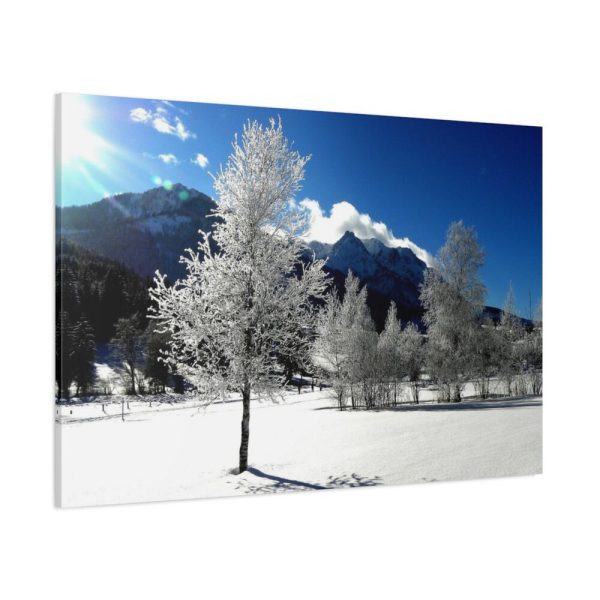 91638-666.jpg Blue Sky Cold Daylight Fosty Trees Standard Canvas