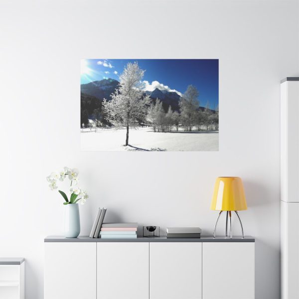 91638-668.jpg Blue Sky Cold Daylight Fosty Trees Standard Canvas