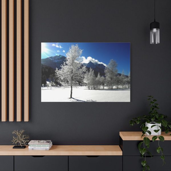 91638-669.jpg Blue Sky Cold Daylight Fosty Trees Standard Canvas