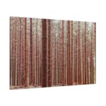 Forest Trees in Autumn Standard Canvas