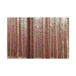 Forest Trees in Autumn Standard Canvas - Image 2