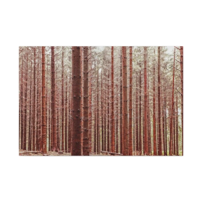 Forest Trees in Autumn Standard Canvas - Image 2