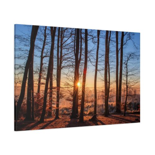 Sun and Trees Standard Canvas