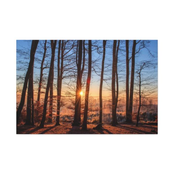 91638-687.jpg Sun and Trees Standard Canvas
